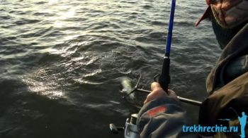 Ловля судака на течении (осень на рыбюоловной базе Трехречье)